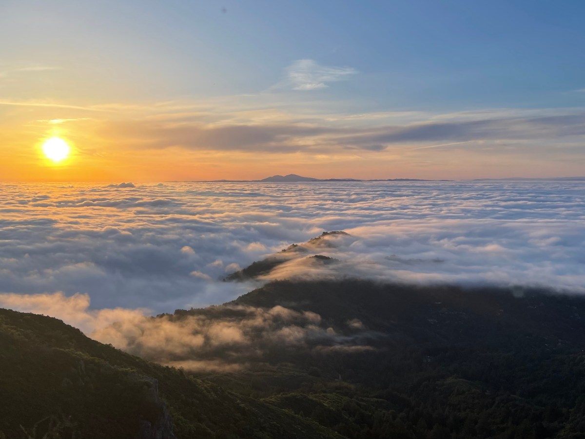 Words for a new&nbsp;year