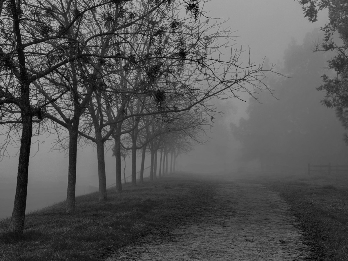 Drawing the Line: A Fictional Reflection on the Problem of&nbsp;Suffering